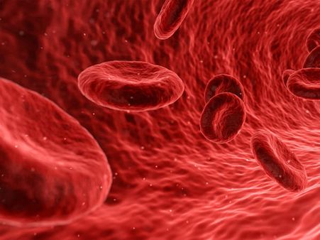 ২.শরীর থেকে বর্জ্য পদার্থ বের করে দেয়: