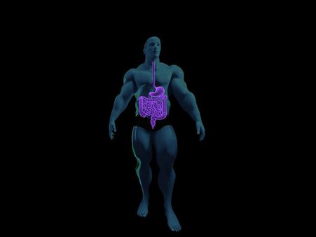 ৫. হজম ক্ষমতা কমে যায়: