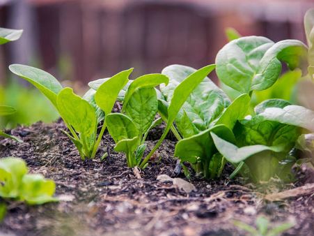 ৬. স্ট্রোকের আশঙ্কা কমায়: