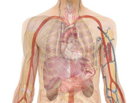 ৫. শরীরের আরও বেশ কিছু ক্ষতি হয়: