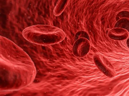 ৫. রক্তাল্পতা দূর করে: