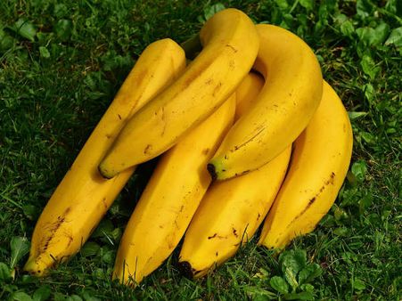 ২. হজম ক্ষমতার উন্নতি ঘটায়: