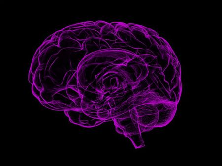 ২. অ্যালঝাইমার রোগকে দূর রাখে: