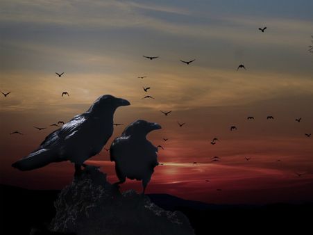 ৫. কাক বা তেল: