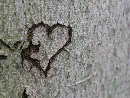 ১. হার্টের উন্নতিতে সাহায্য করে সামদ্রিক মাছ: