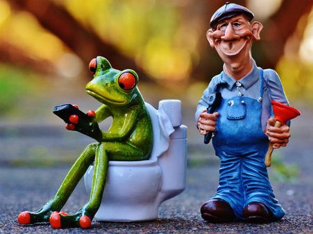 ৬. কনস্টিপেশনের মতো সমস্যা কমায়: