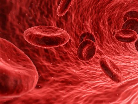 ৭. রক্ত চলাচলে উন্নতি ঘটে: