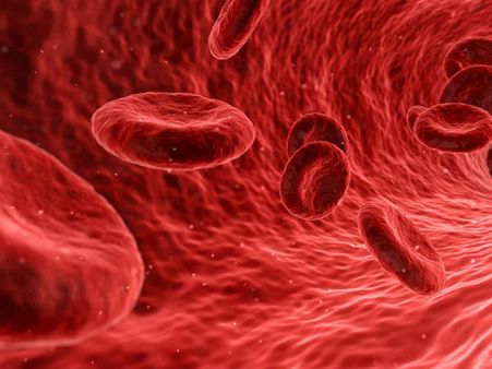 ৪. অ্যানিমিয়ার প্রকোপ কমায়: