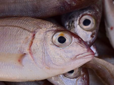 ৬. স্পার্ম কাউন্ট অনেক বাড়িয়ে দেয়: