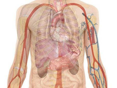 ৫. কিডনি স্টোন: