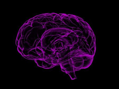 ১. ব্রেন টনিক হিসেবে কাজ করে: