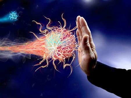 ১. রোগ প্রতিরোধ ক্ষমতা শক্তিশালী হয়: