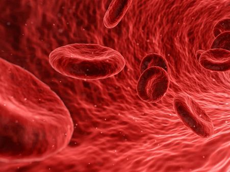 ২. অ্যানিমিয়ার প্রকোপ কমায়: