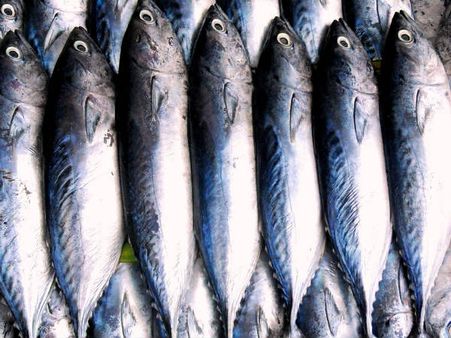 ৫. বেশি করে মাছ খেতে হবে: