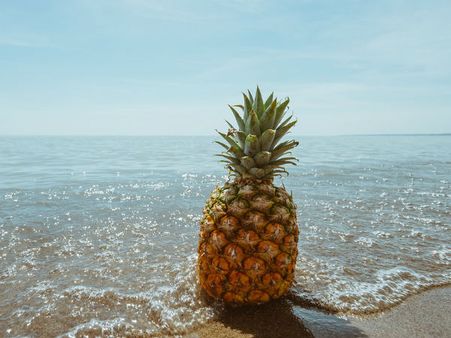 ৬.আনারস: