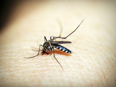 এই ভাইরাসের আক্রামণ থেকে বেঁচে থাকা কি সম্ভব?