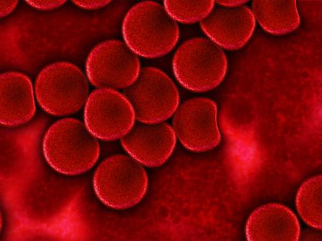 কিভাবে বোঝা সম্ভব যে কেউ ডেঙ্গু জ্বরে আক্রান্ত হয়েছে?