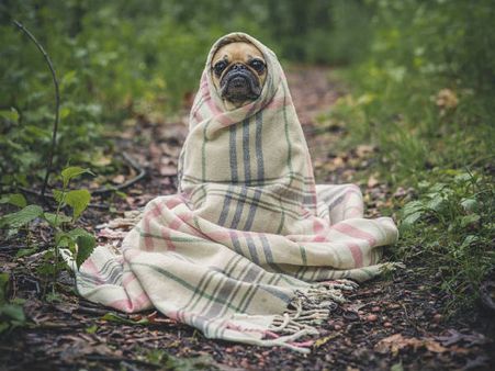 ৬. শরীরে খারাপ কোলেস্টেরলের মাত্রা কমে: