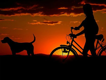 ১. শারীরিক সচলতা বৃদ্ধি পায়: