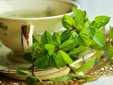 ৬. মিন্ট পাতা: