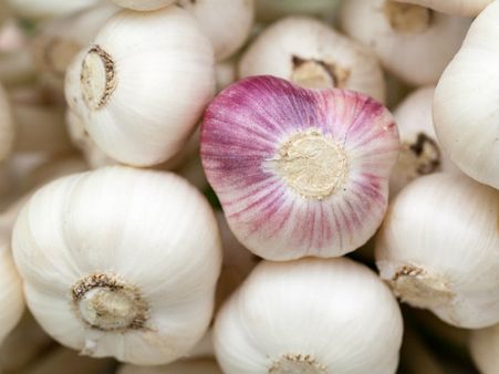 ৮. দেহে পুষ্টির ঘাটতি দূর করে: