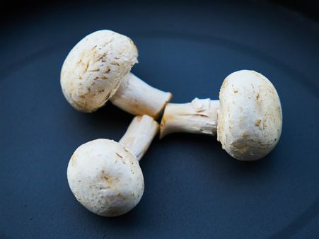 ৩. মাশরুম: