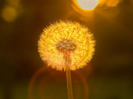 ১. গায়ে রোগ লাগান: