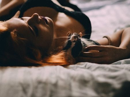 ৬. কুকুর-বিড়াল থেকে দূরে থাকুন: