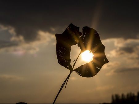 ২. হার্টের স্বাস্থ্যের উন্নতি ঘটে: