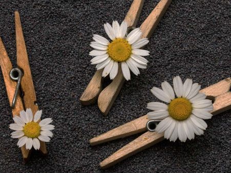 ৭. শরীর ঠান্ডা করে: 