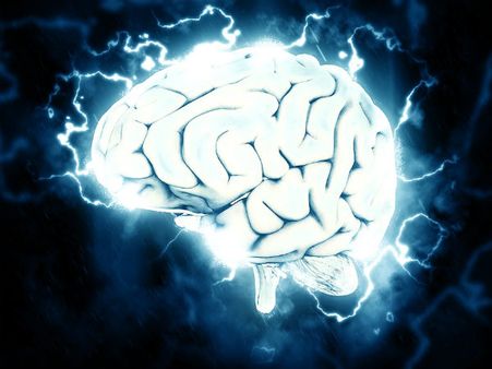 ৯. নার্ভাস সিস্টেমের কর্মক্ষমতা বাড়ায়: