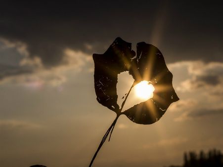 ৩. হার্টের স্বাস্থ্যের উন্নতি ঘটে: