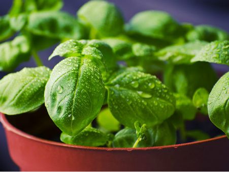 ২. ব্রণর প্রকোপ কমে: