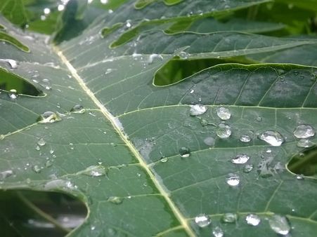 ৬. পিরিয়োডের কষ্ট দূর করে: