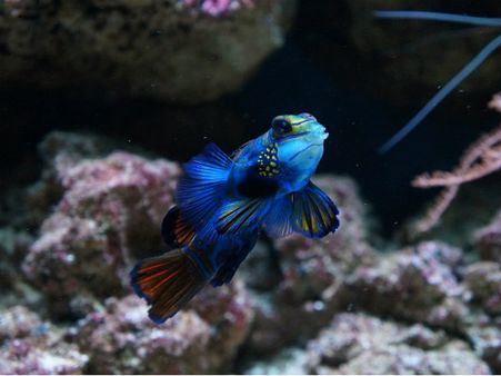 ৫. নেগেটিভ এনার্জির কারণে ক্ষতি হওয়ার আশঙ্কা কমে: