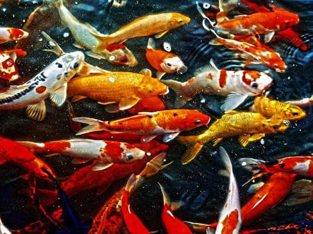 ৩. শারীরিক কষ্ট কমে যায়: