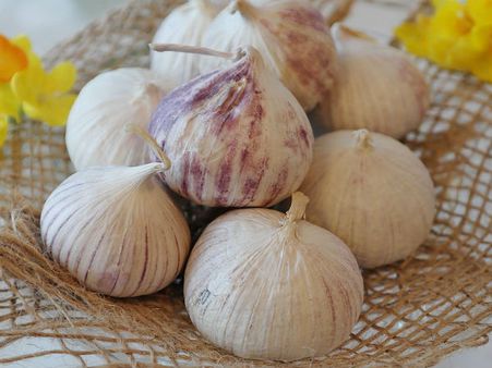 ১০. রসুন: