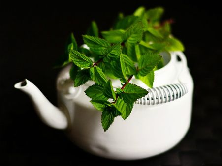 ২. পিপারমেন্ট পাতা: