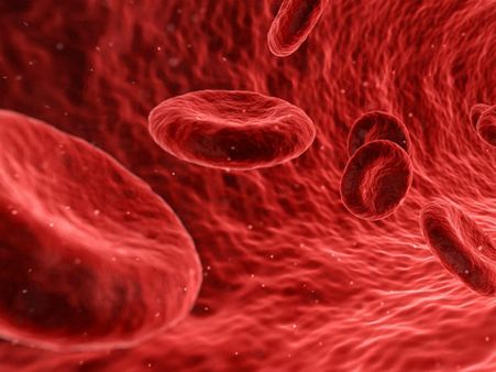 শরীরে লেদের পরিমাণ অনেক মাত্রায় বেড়ে গেলে কী কী হতে পারে?