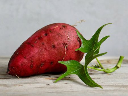 ৫. ভিটামিন এ: