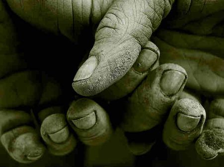 ৫. হজমের রোগ সেরে যায়: