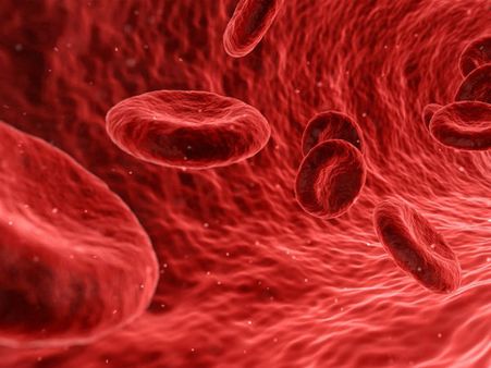 ৩. শরীর থেকে বিষ বার করে দেবে: