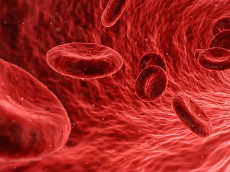 ৯. কোলেস্টরলের মাত্রা কমায়: