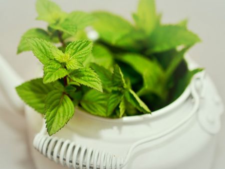 ৯. মিন্ট পাতা: