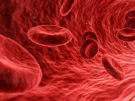 ৫. কোলেস্টেরলের মাত্রা বৃদ্ধি পায়: