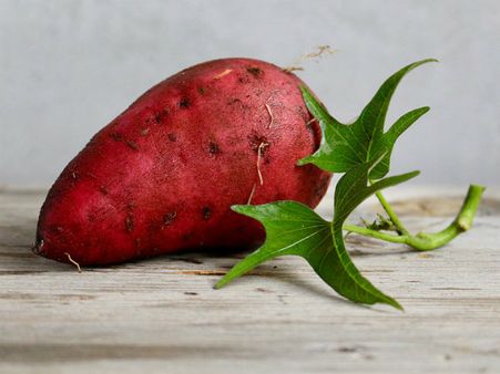 ৫. রাঙা আলু: ৫. রাঙা আলু: