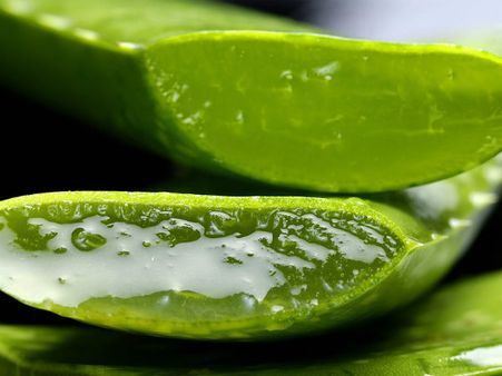 ৭. অ্যালো ভেরা:
