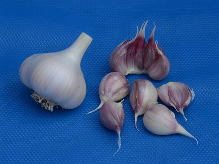 কাদের রসুন খাওয়ার আগে চিকিৎসকেরা পরামর্শ নিতে হবে? 