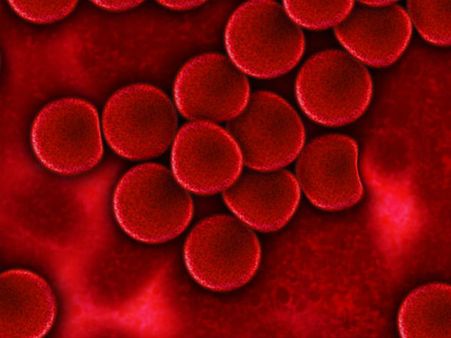 ৭. অ্যানিমিয়ার প্রকোপ কমায়: