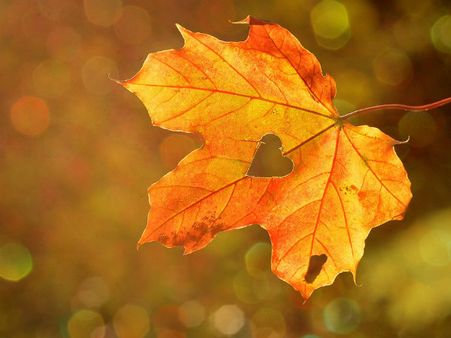 ৬.হার্টের কর্মক্ষমতা বাড়ায়: